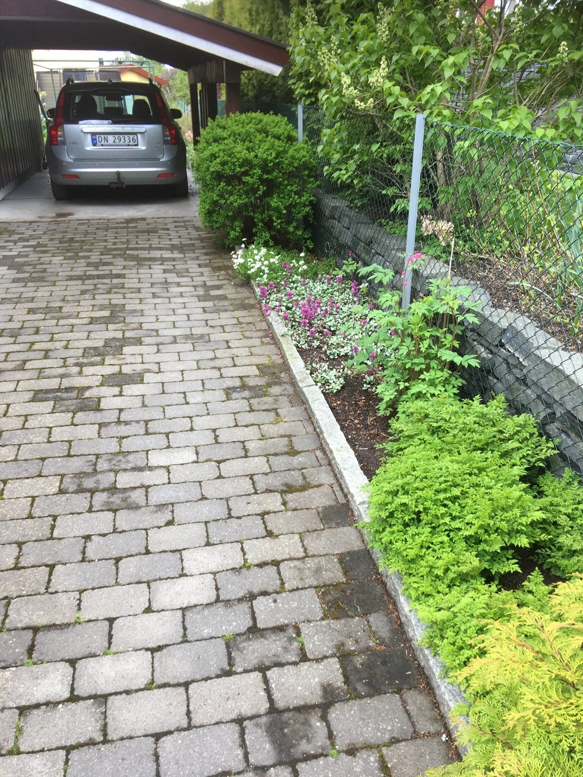 Selgers private bilder Galleribilde