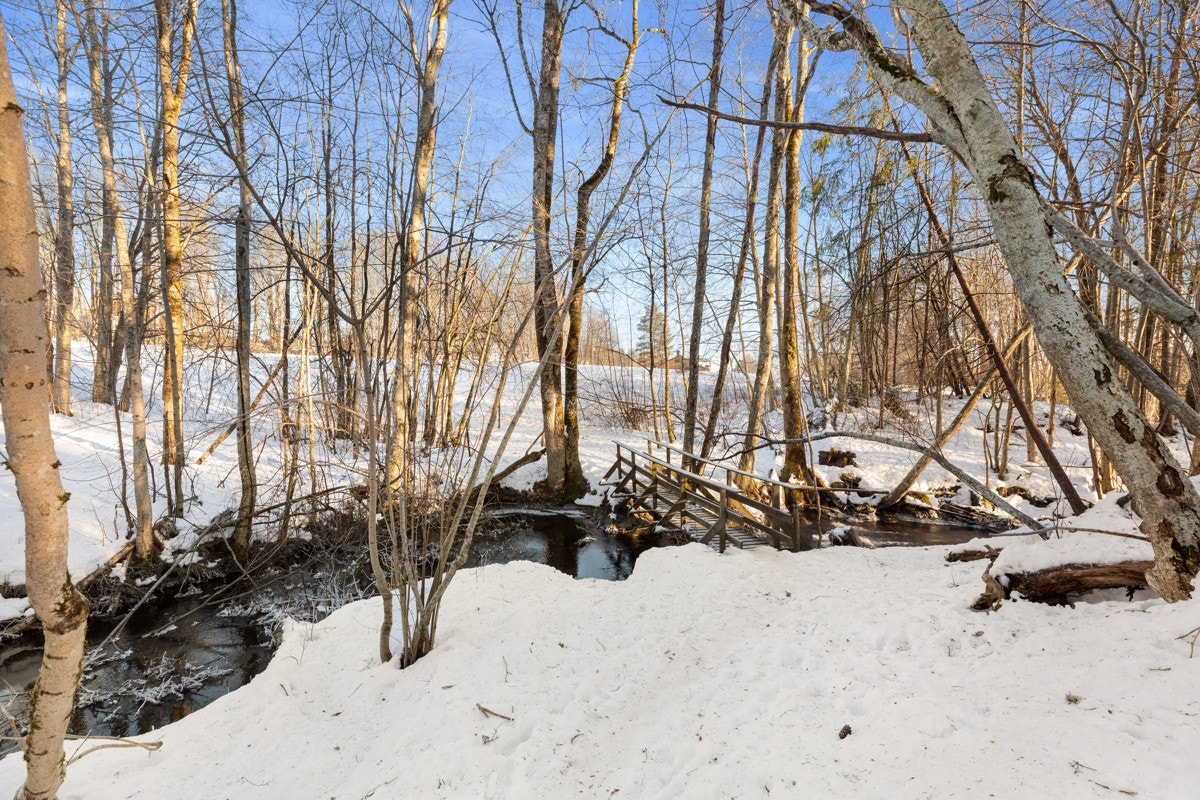 Usjenert, åpen og luftig beliggenhet tett på naturen. Galleribilde