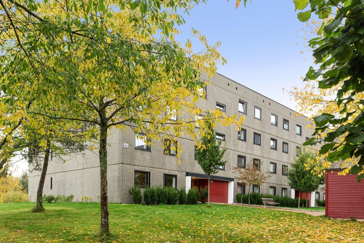 Blokken Galleribilde