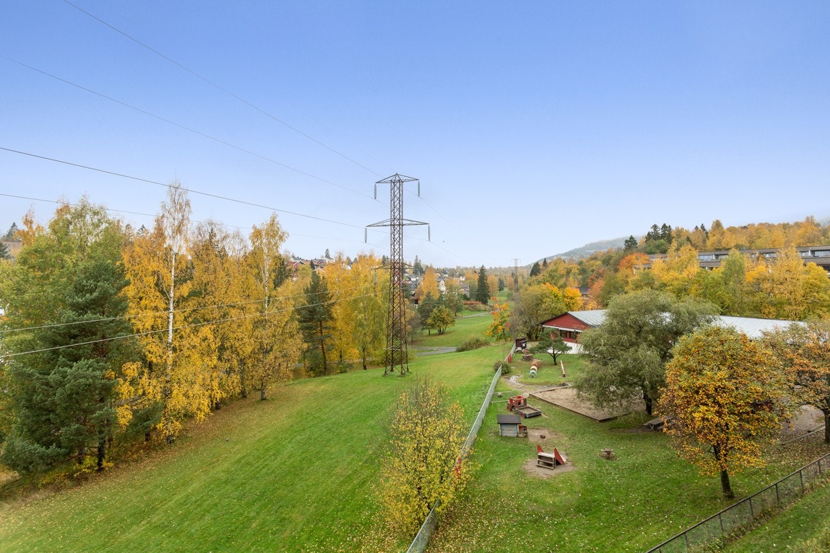 nærområdet Galleribilde