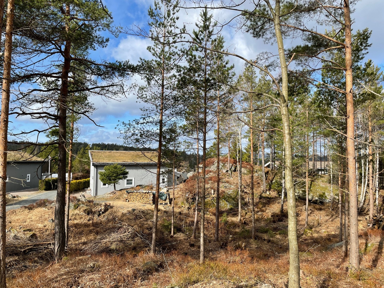 Fra tomteområdet / nærområdet Galleribilde