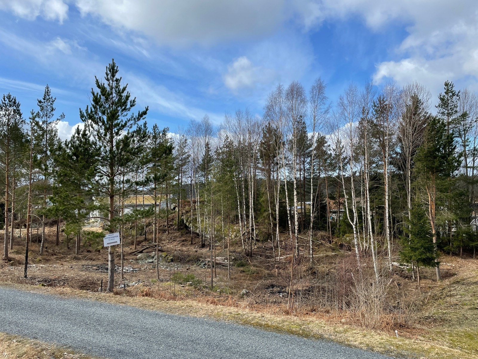 Fra tomteområdet / nærområdet Galleribilde
