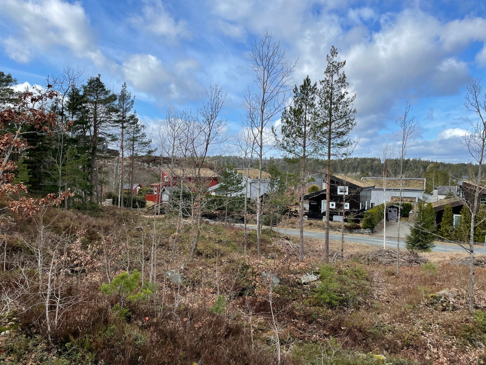 Fra tomteområdet / nærområdet Galleribilde