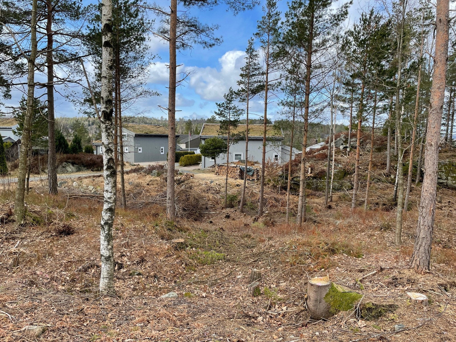 Fra tomteområdet / nærområdet Galleribilde