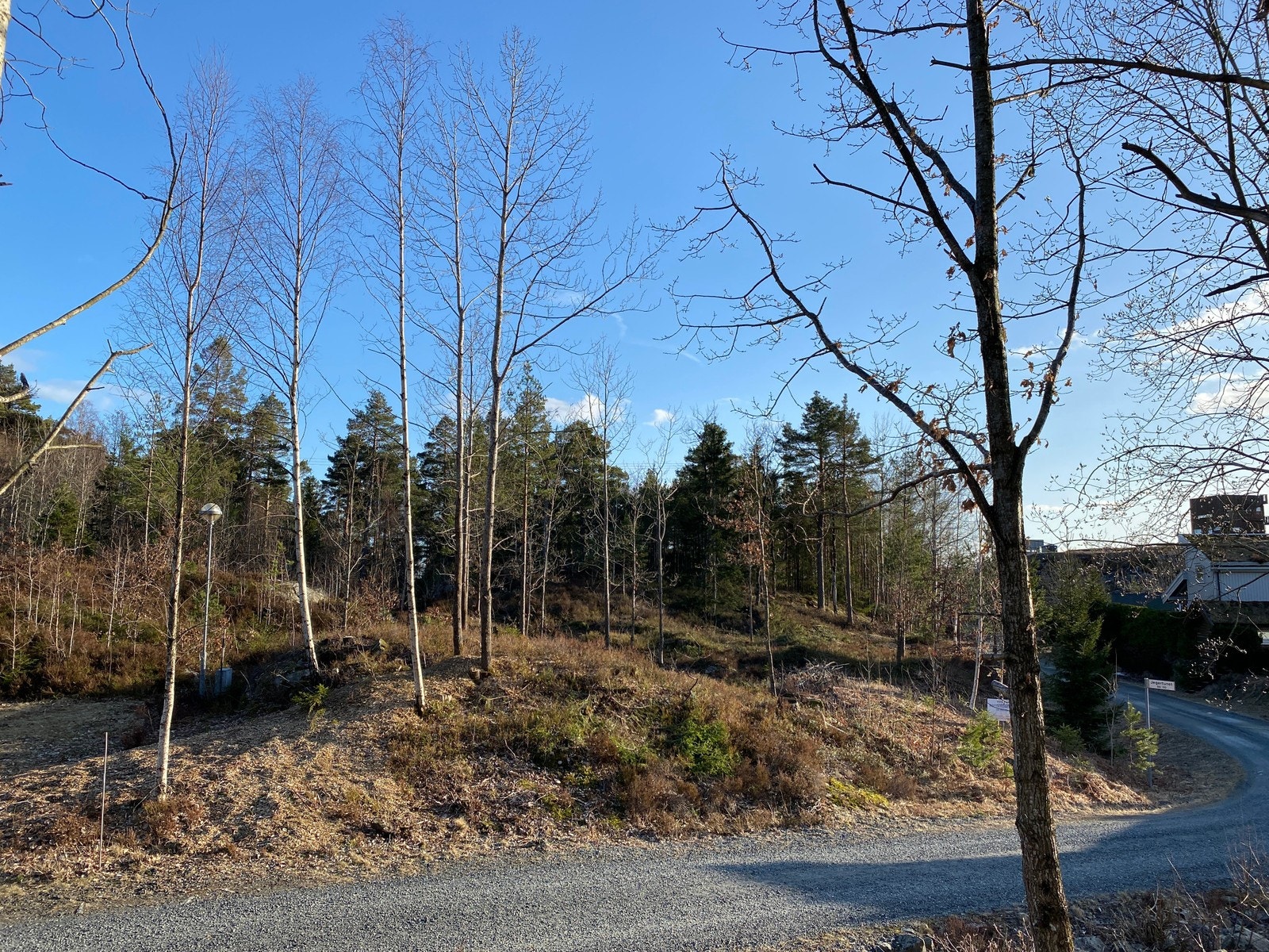 Fra tomteområdet / nærområdet Galleribilde