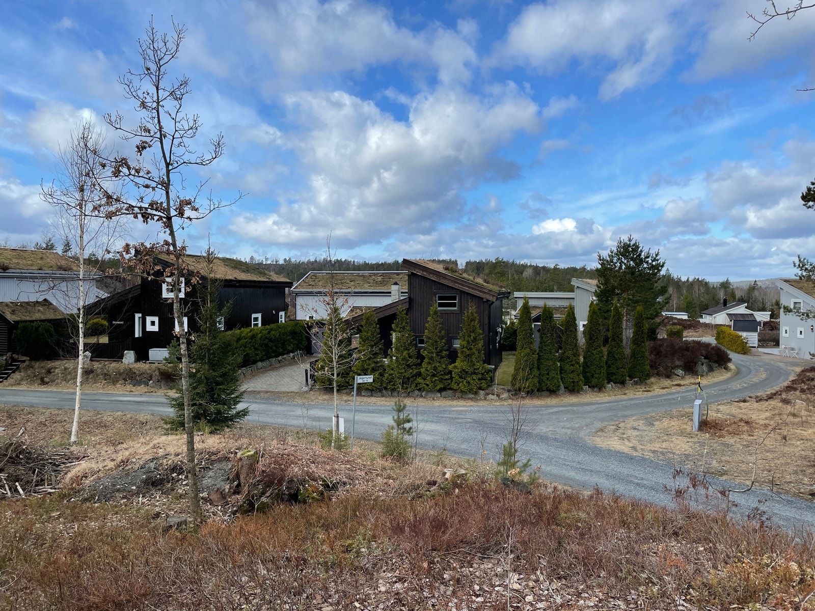 Fra tomteområdet / nærområdet Galleribilde