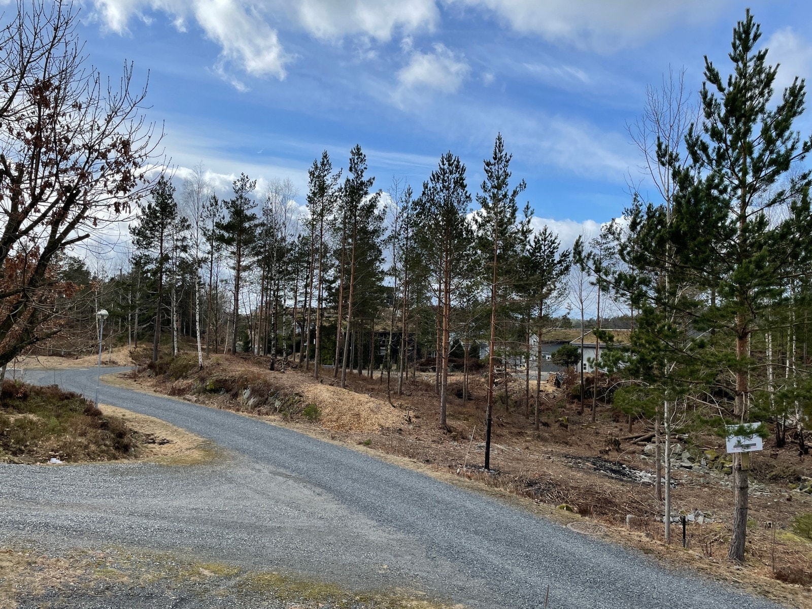 Fra tomteområdet / nærområdet Galleribilde