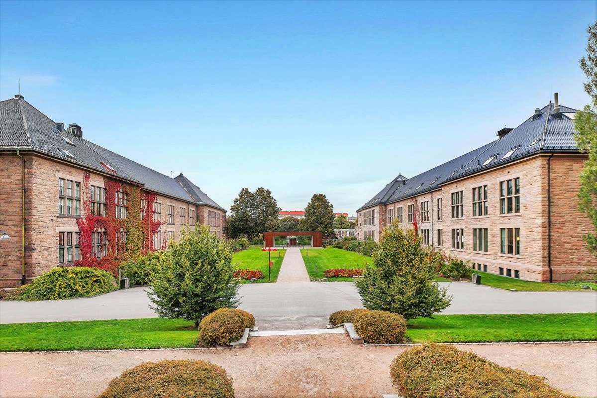 Botanisk hage. Galleribilde