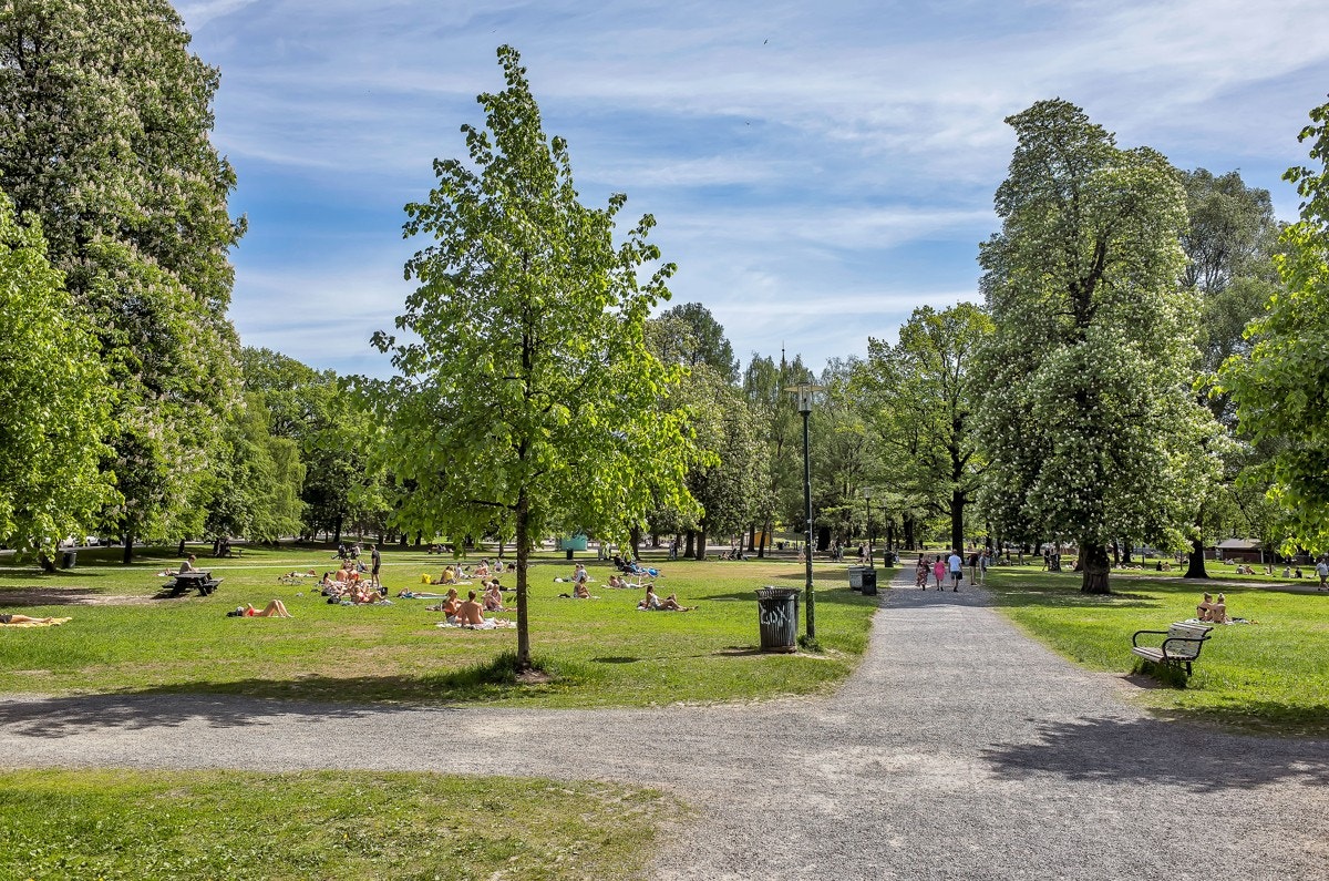 Populære Sofienbergparken. Galleribilde