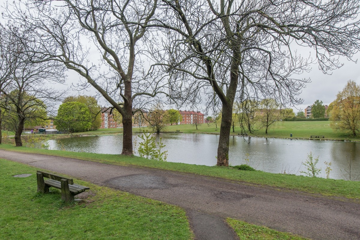 Hovindammen en liten idyll, med omkringliggende gangstier, sittebenker og grønne lunger. Galleribilde
