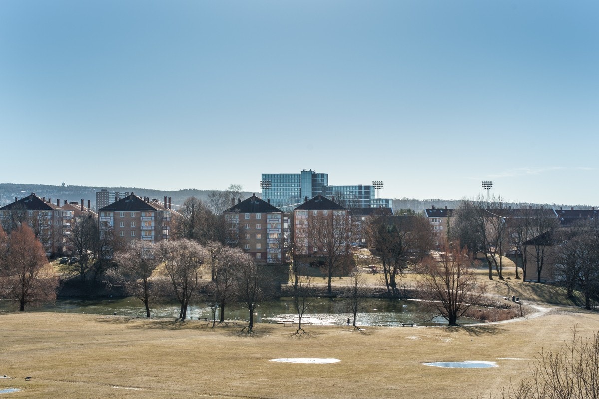 Rett ved eiendommen finner du Hovindammen med omkransende, grønne friområder. Galleribilde