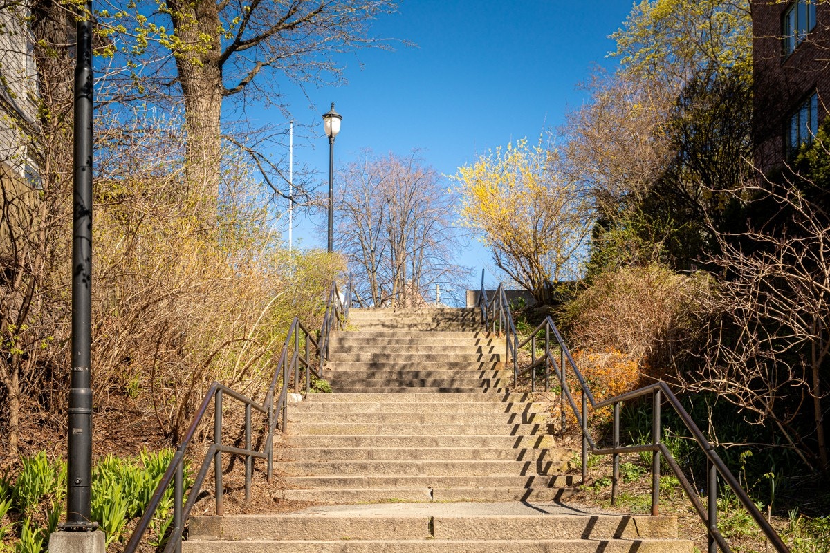 Her bor man sentralt, trygt, grønt og samtidig midt i byen. Galleribilde