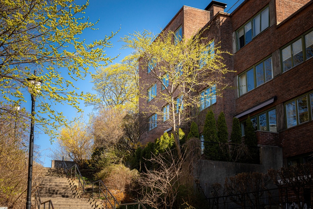 Her bor du sentralt, men i frodige omgivelser. Galleribilde