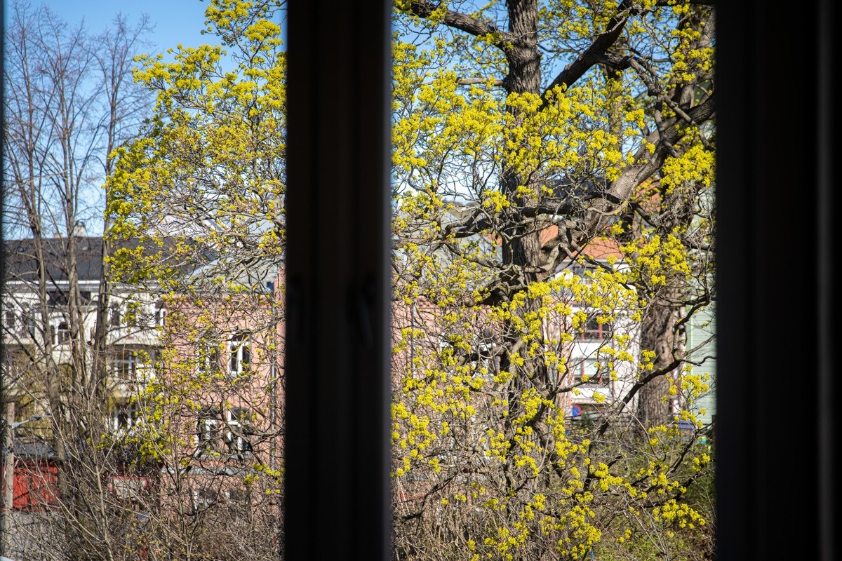 Her bor du sentralt, men tilbaketrukket i grønne omgivelser. Galleribilde