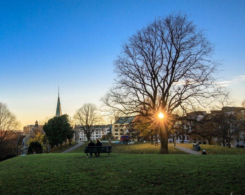 Stensparken. Galleribilde