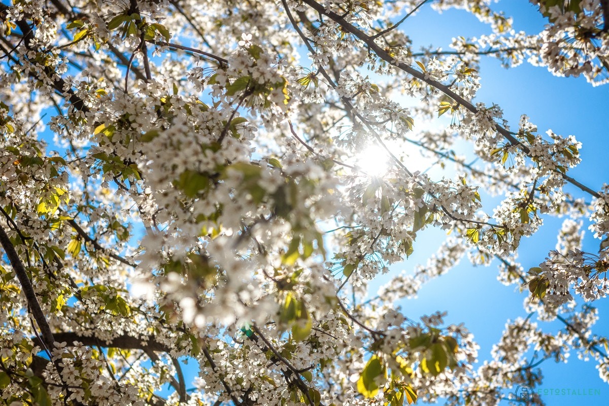 Området byr på flotte tur- og naturområder i historiske omgivelser. Galleribilde