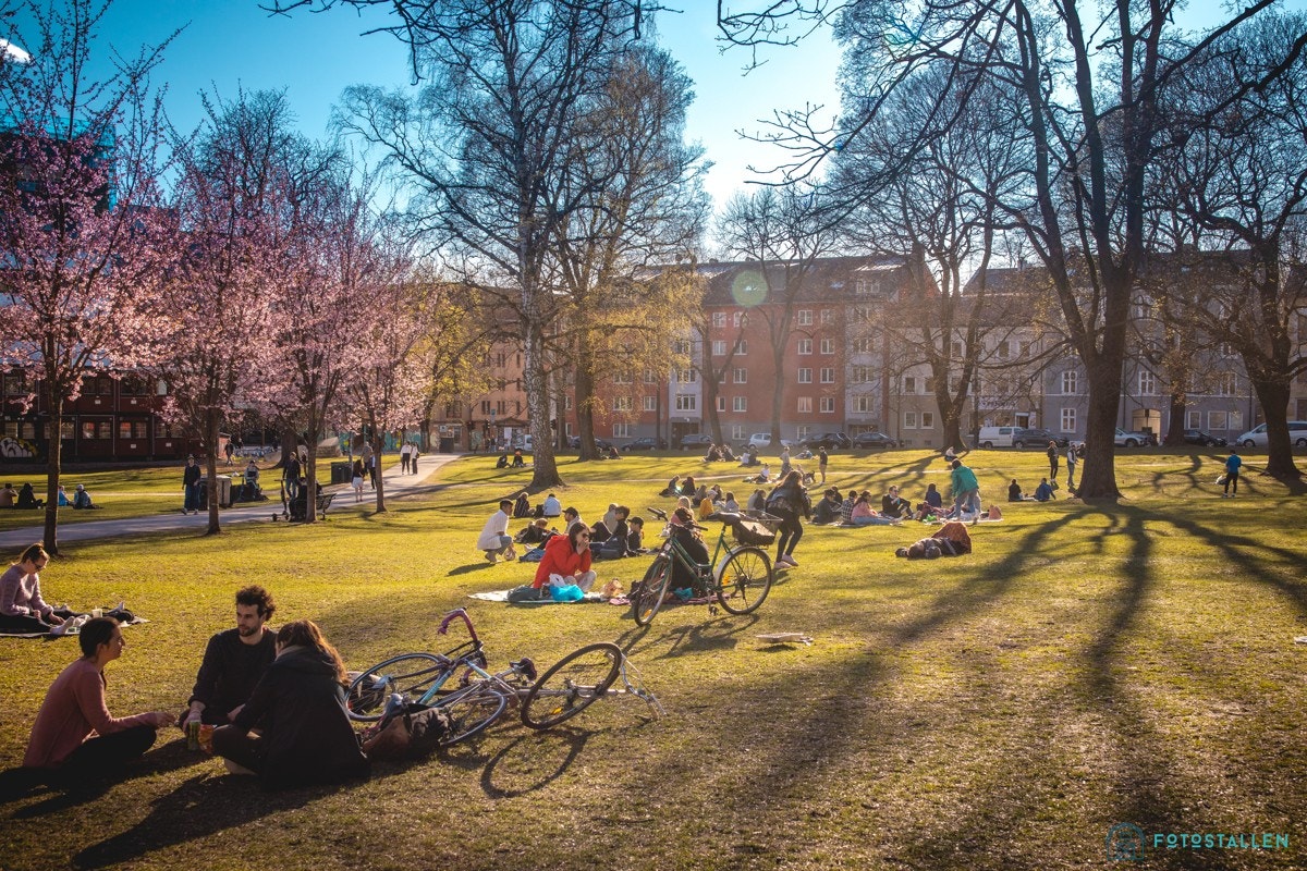 Nærområdet inneholder flere av byens flotteste parker, dette er byens grønne lunger som fungerer som flotte samlingssteder på sommers -og vinterstid både for barn og voksne, unge og eldre. Galleribilde