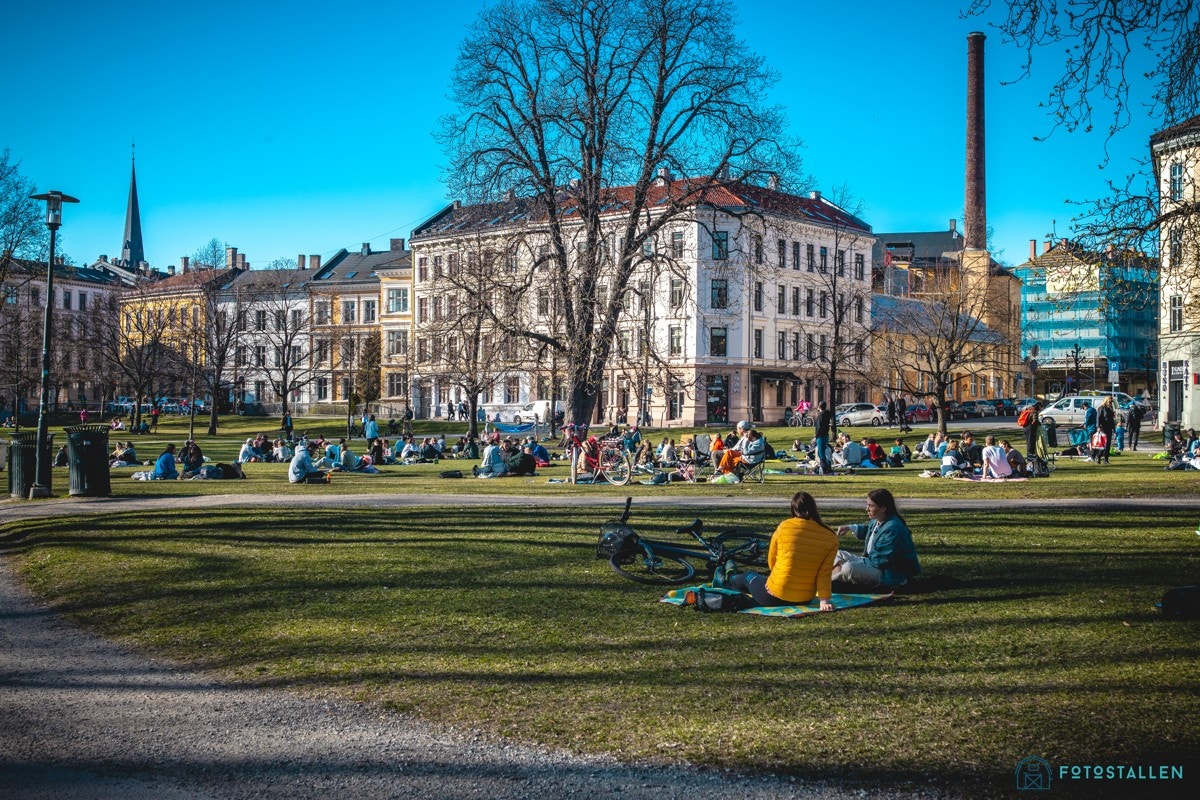 Ikke langt fra døren har du anerkjente parker som Sofienbergparken, Birkelunden, Olaf Ryes Plass, Cubaparken og Grünerhagen. Galleribilde