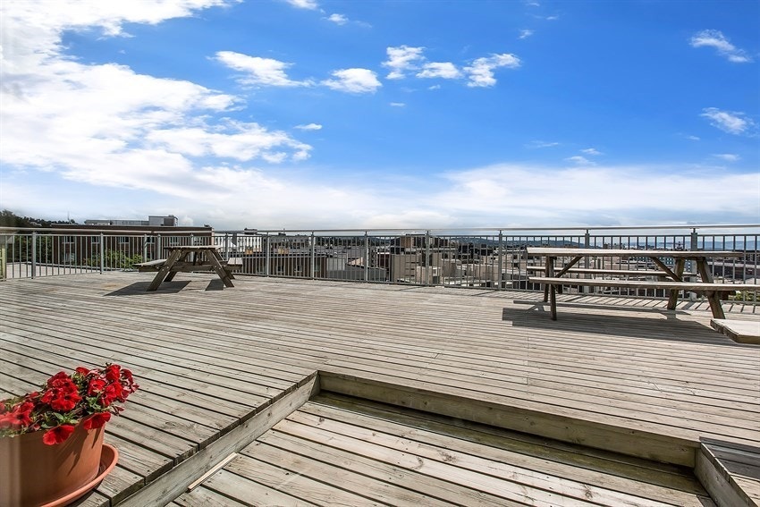 Videre har borettslaget en flott takterrasse med gode solforhold med fin utsikt over hele Oslo, grøntarealer og Holmenkollen. Galleribilde