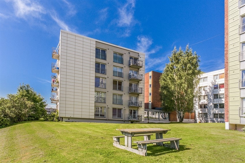 Pent opparbeidede utearealer med beplantning Galleribilde