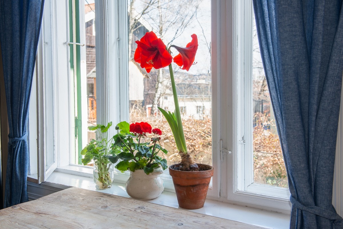 Kjøkkenidyll. Galleribilde