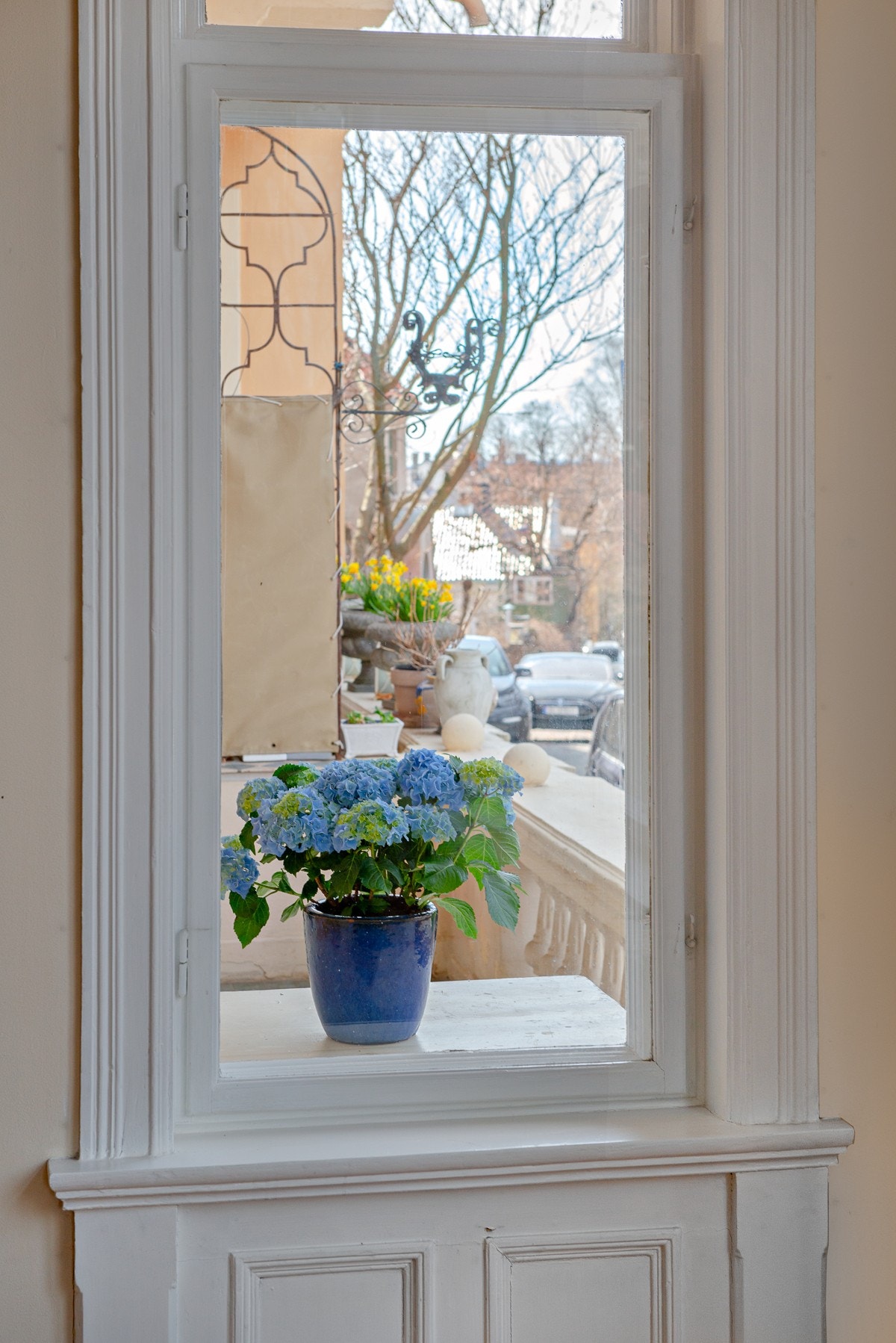 Karnapp med utsikt. Galleribilde