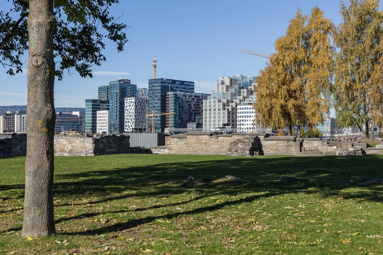 Middelalderparken er et populært samlingssted på sommerstid Galleribilde