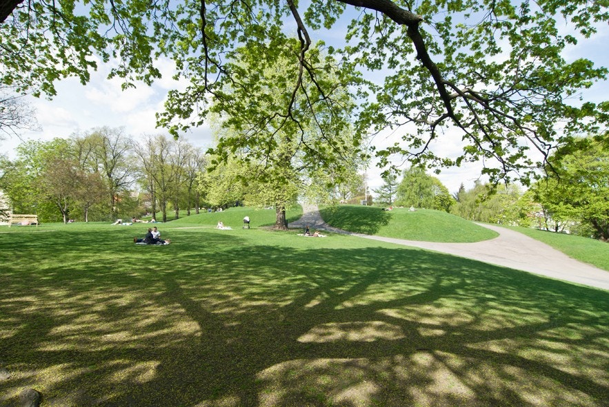 Nærområde - Stensparken ligger 5 minutter unna leiligheten Galleribilde