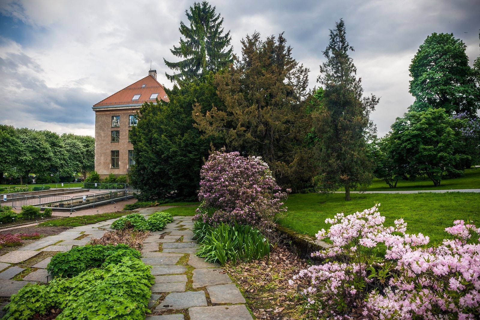 Botanisk hage. Galleribilde