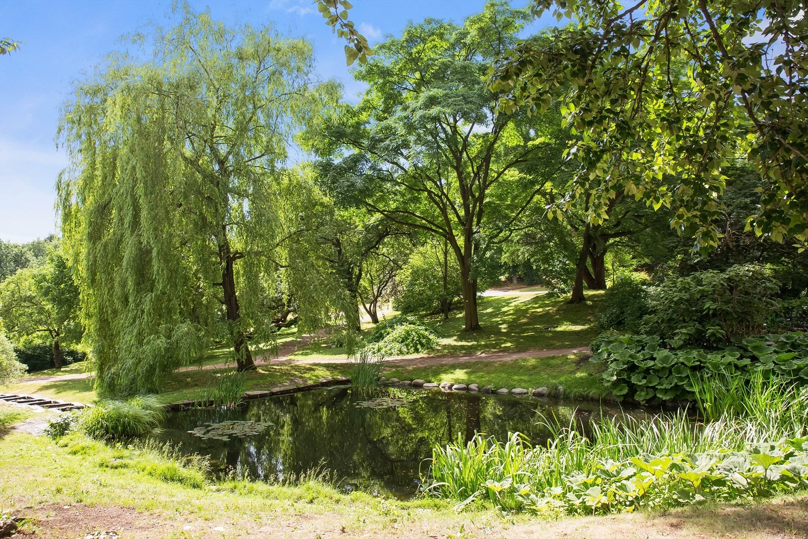 Botanisk hage. Galleribilde