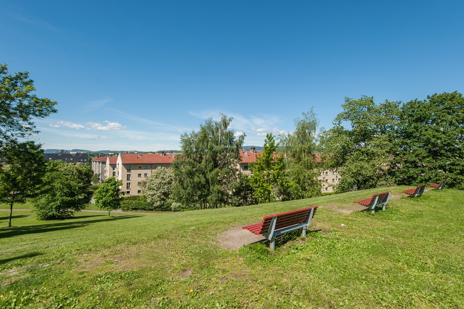 Tøyenparken. Galleribilde