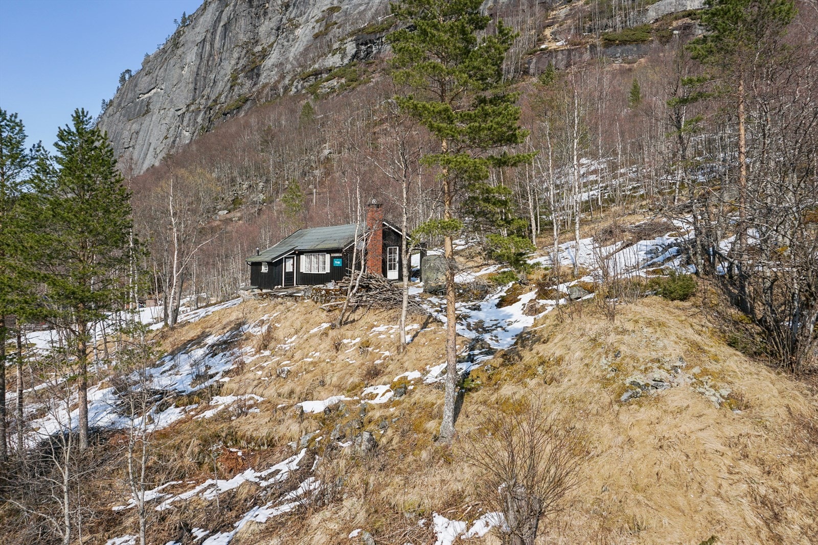 Naeromraade Galleribilde