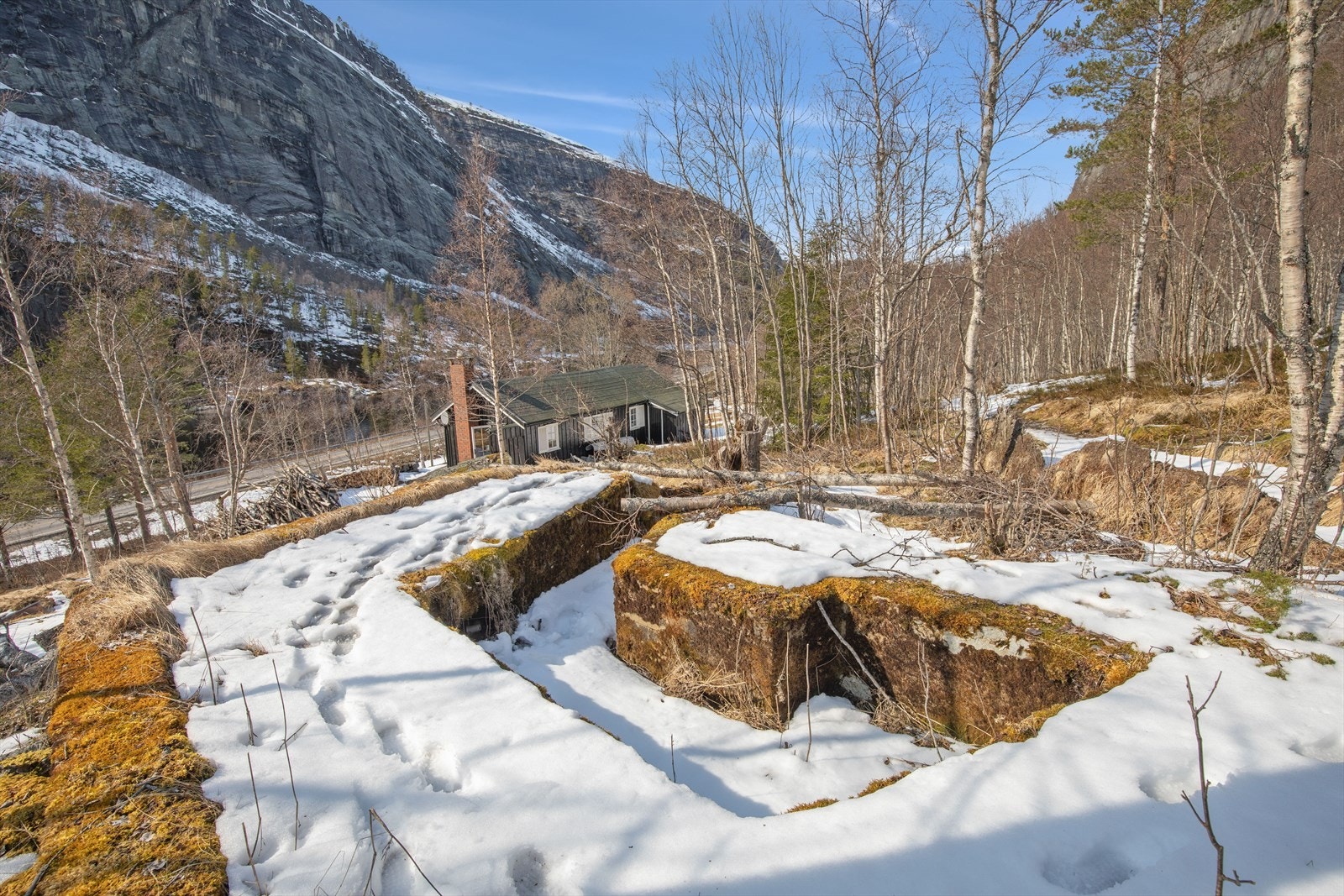 Naeromraade Galleribilde