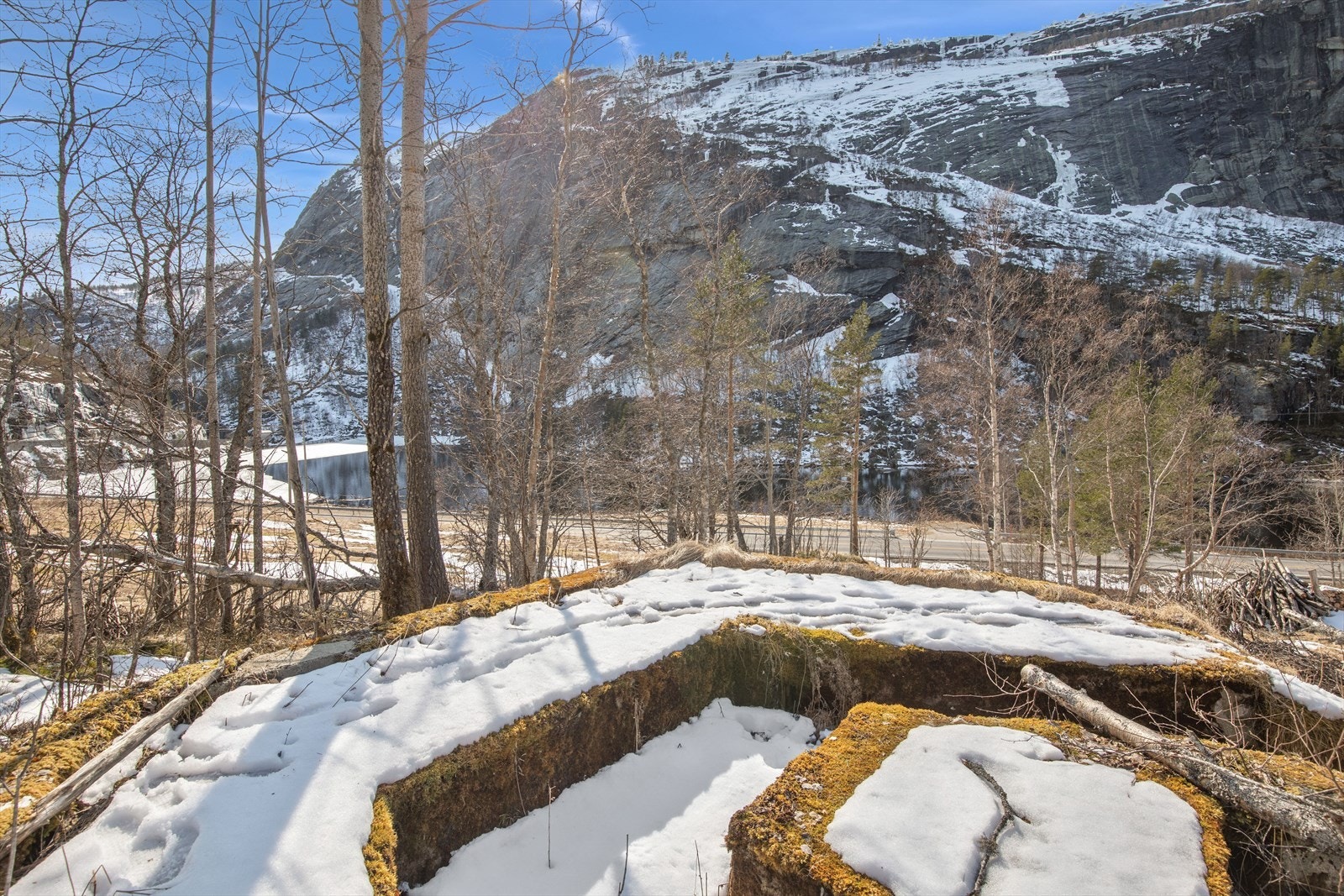 Naeromraade Galleribilde