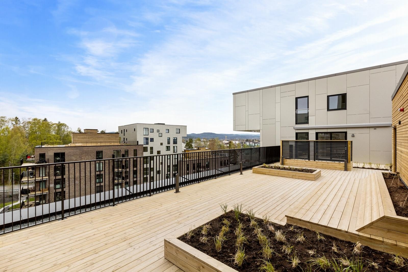 Felles takterrasse Galleribilde