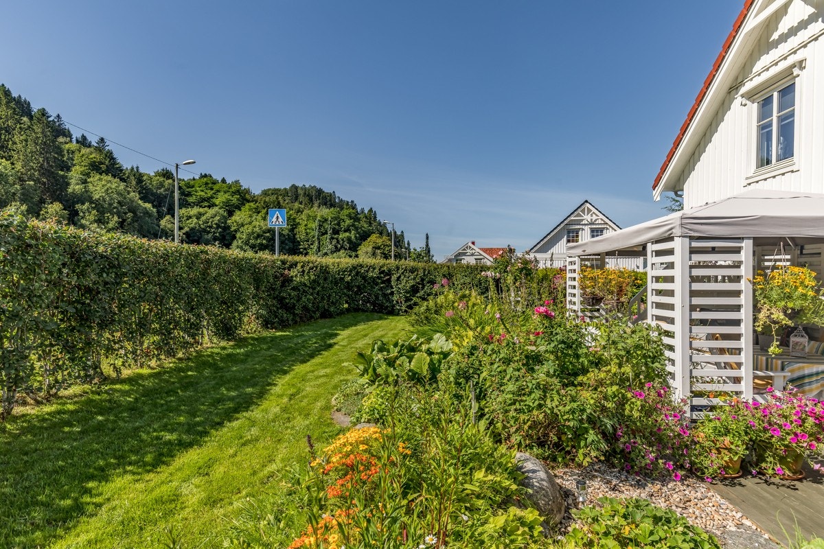 Hagen er sonedelt og nydelig med frodige planter og mange, pene blomster som gir et fint fargespill. Galleribilde