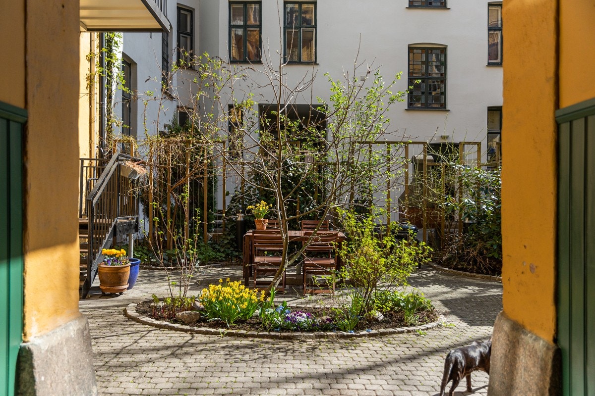 Fantastisk bakgård - Blåbær, epletre, ramsløk og rips i bakgården for alle. Galleribilde