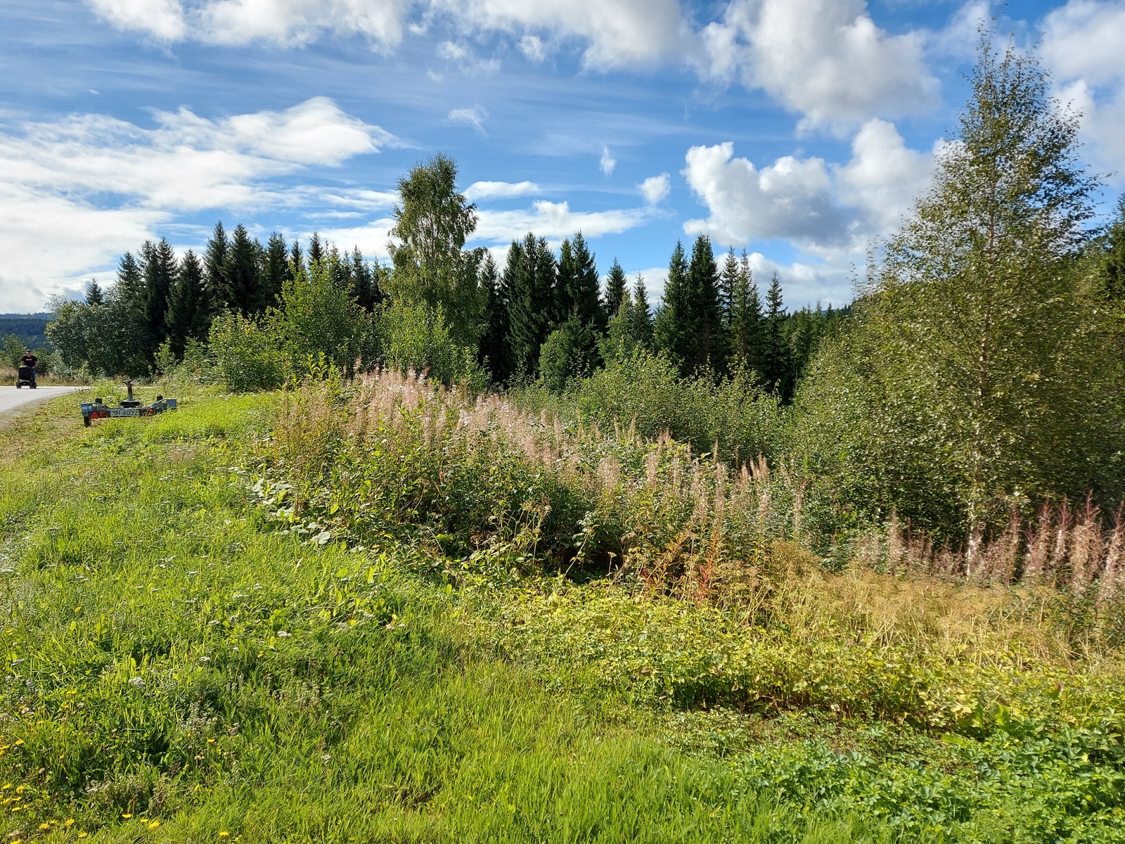 Berethaugen Galleribilde