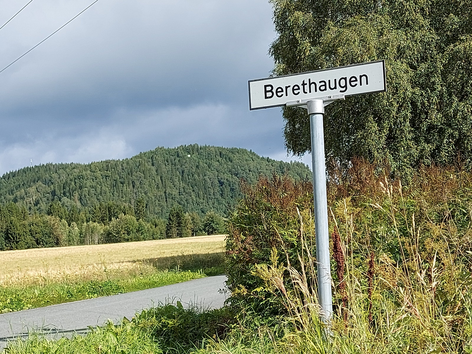 Berethaugen Galleribilde