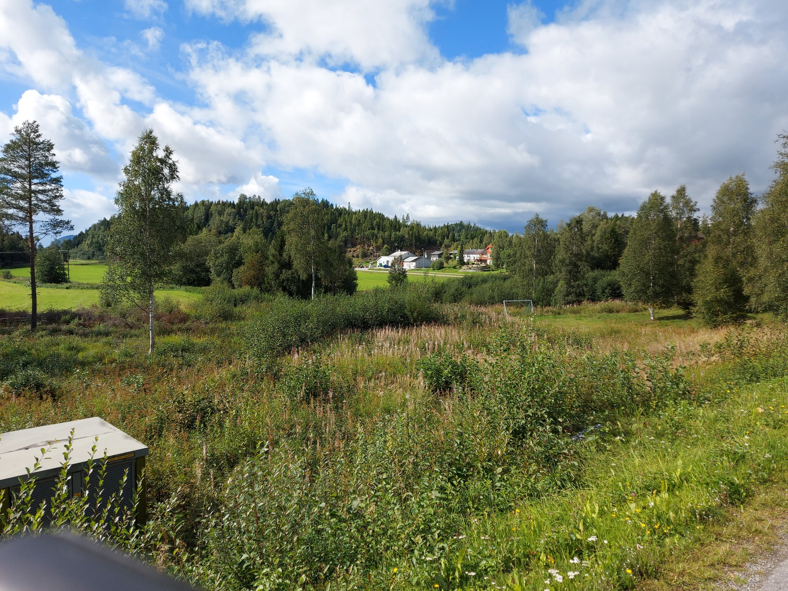 Berethaugen Galleribilde