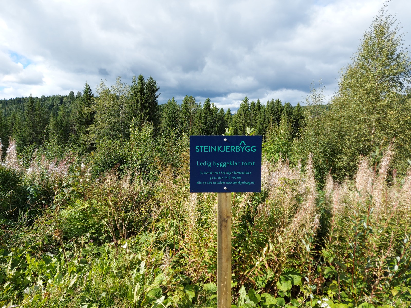 Berethaugen Galleribilde