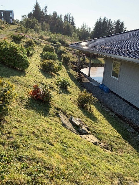 T3.jpg Galleribilde