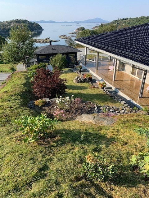 T2.jpg Galleribilde
