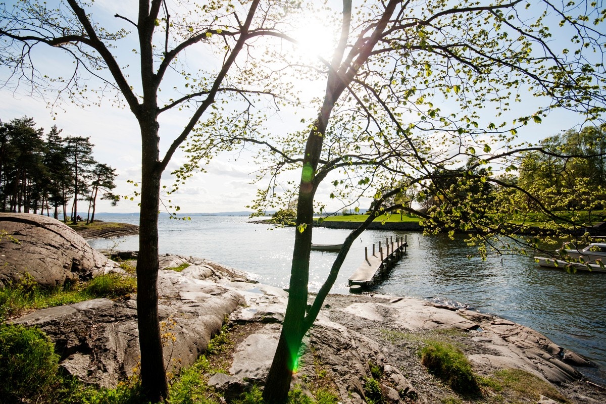 Idylliske Huk Galleribilde