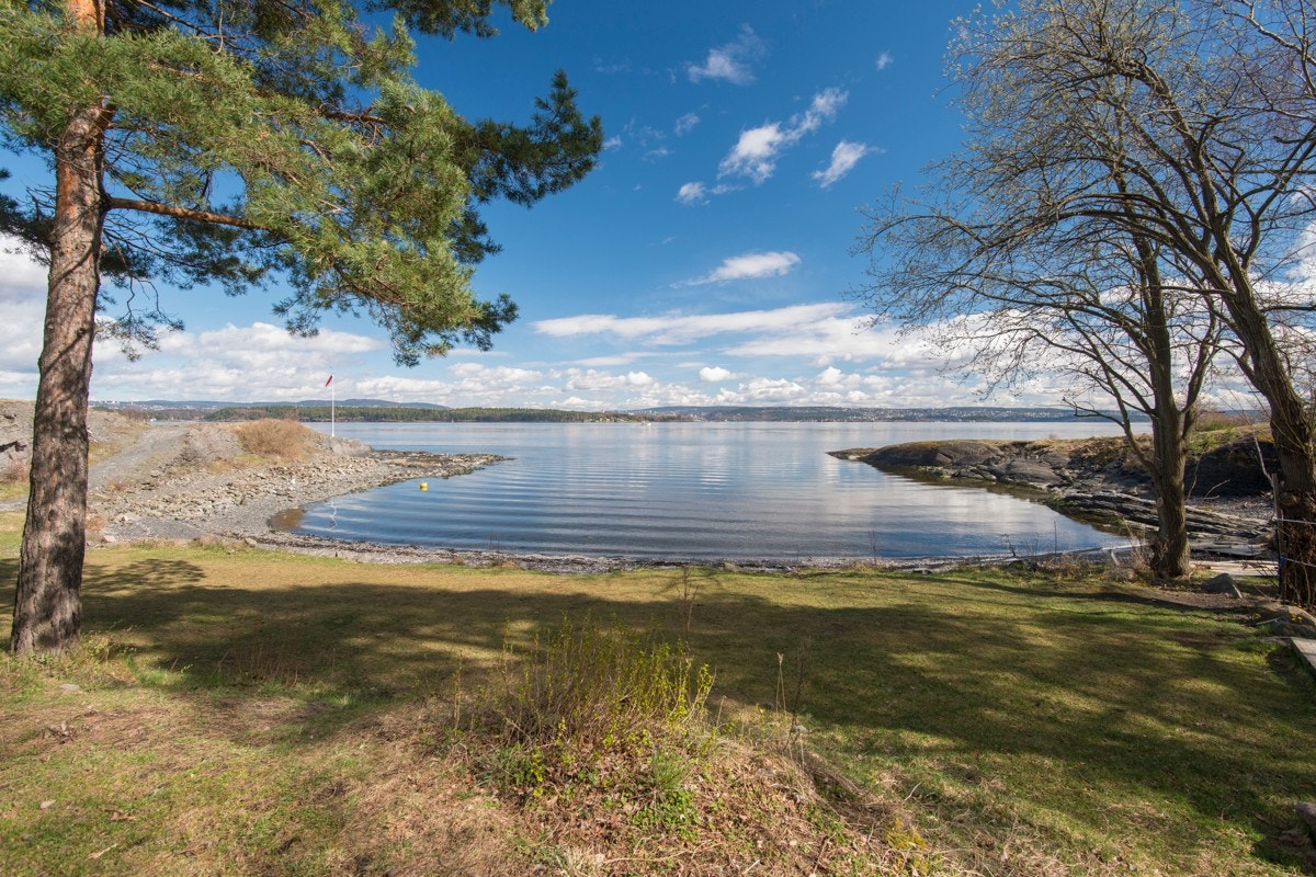 Bygdøy byr på utallige turopplevelser i skog og mark. Enten du ønsker en rolig søndagstur eller en sprek joggetur, vil turområdene på Bygdøy falle i smak. Galleribilde