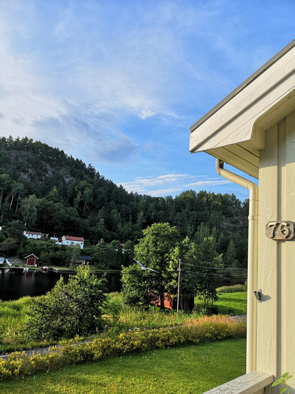 Sommerbilder Galleribilde