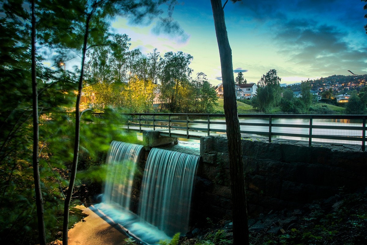 Områdebilde - Holmendammen Galleribilde