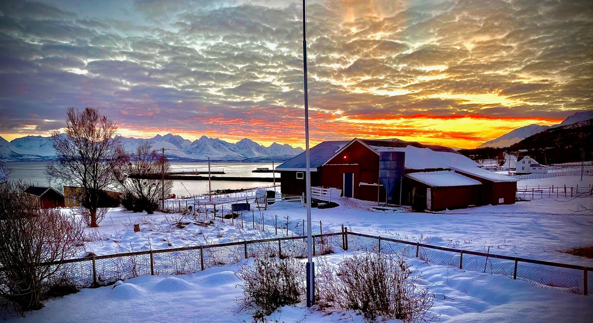 Magisk utsikt fra eiendommen mot Lyngsalpene!