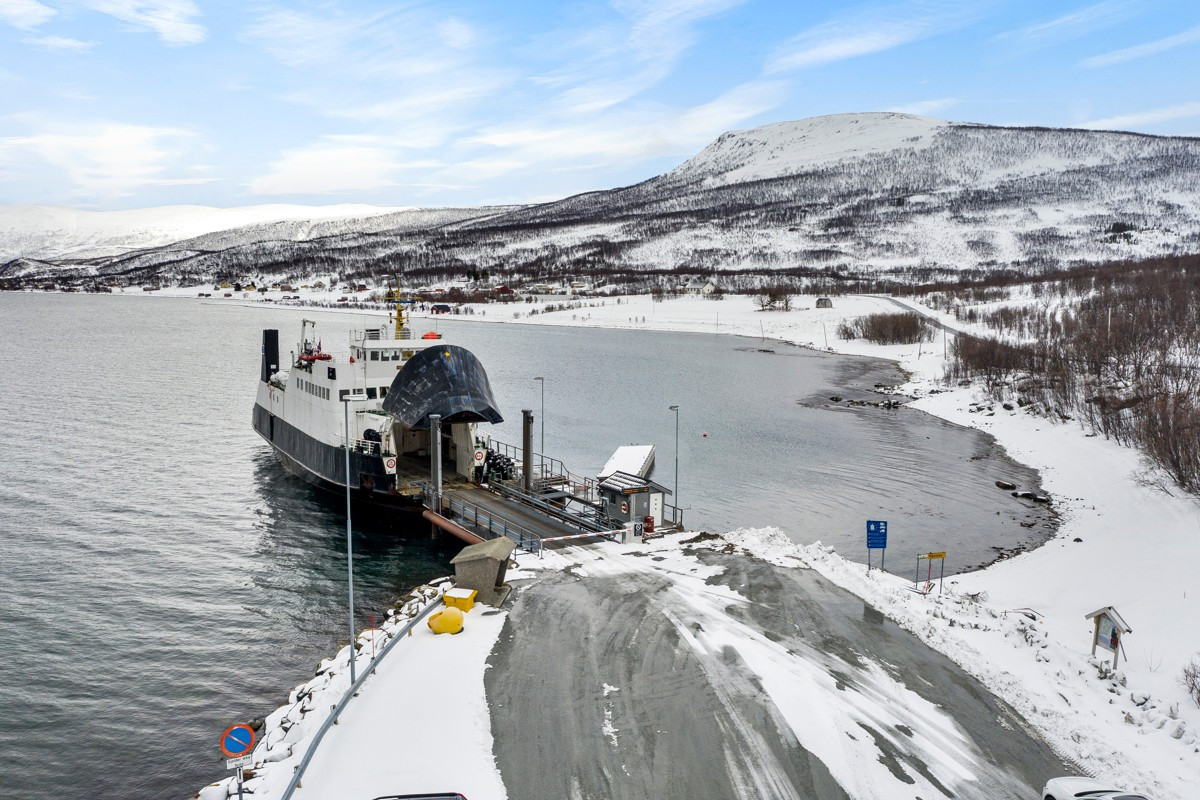Området