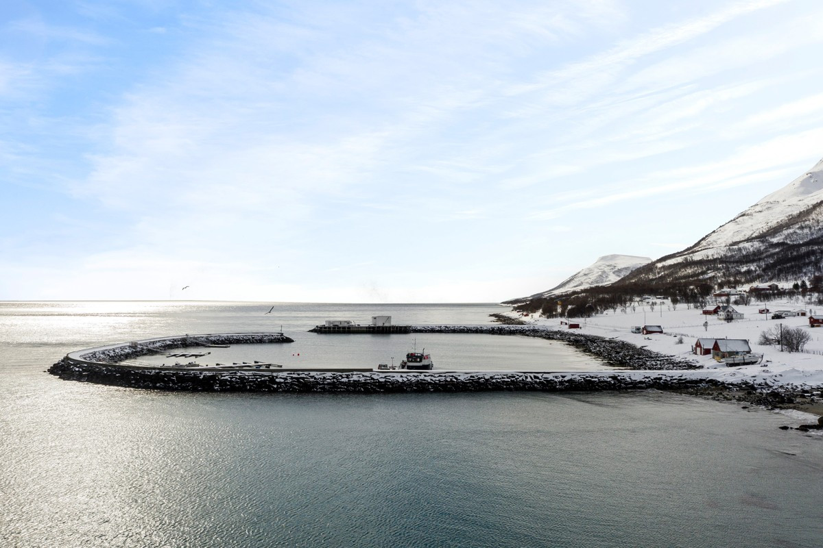 Båtmarina rett nedenfor boligen - Fra havnen i Tromsdalen kan man regne ca. 25 minutter hit på en godværsdag.